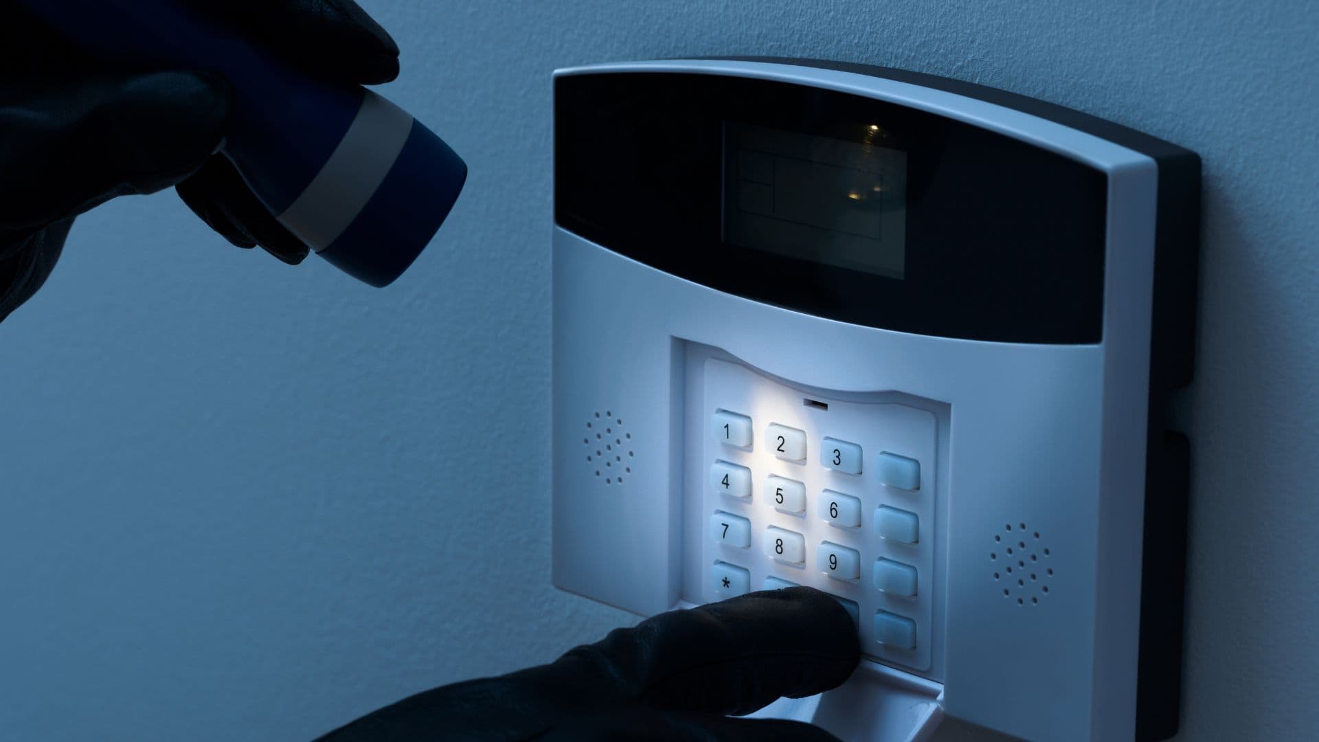 Alarm and Intrusion Detection Systems